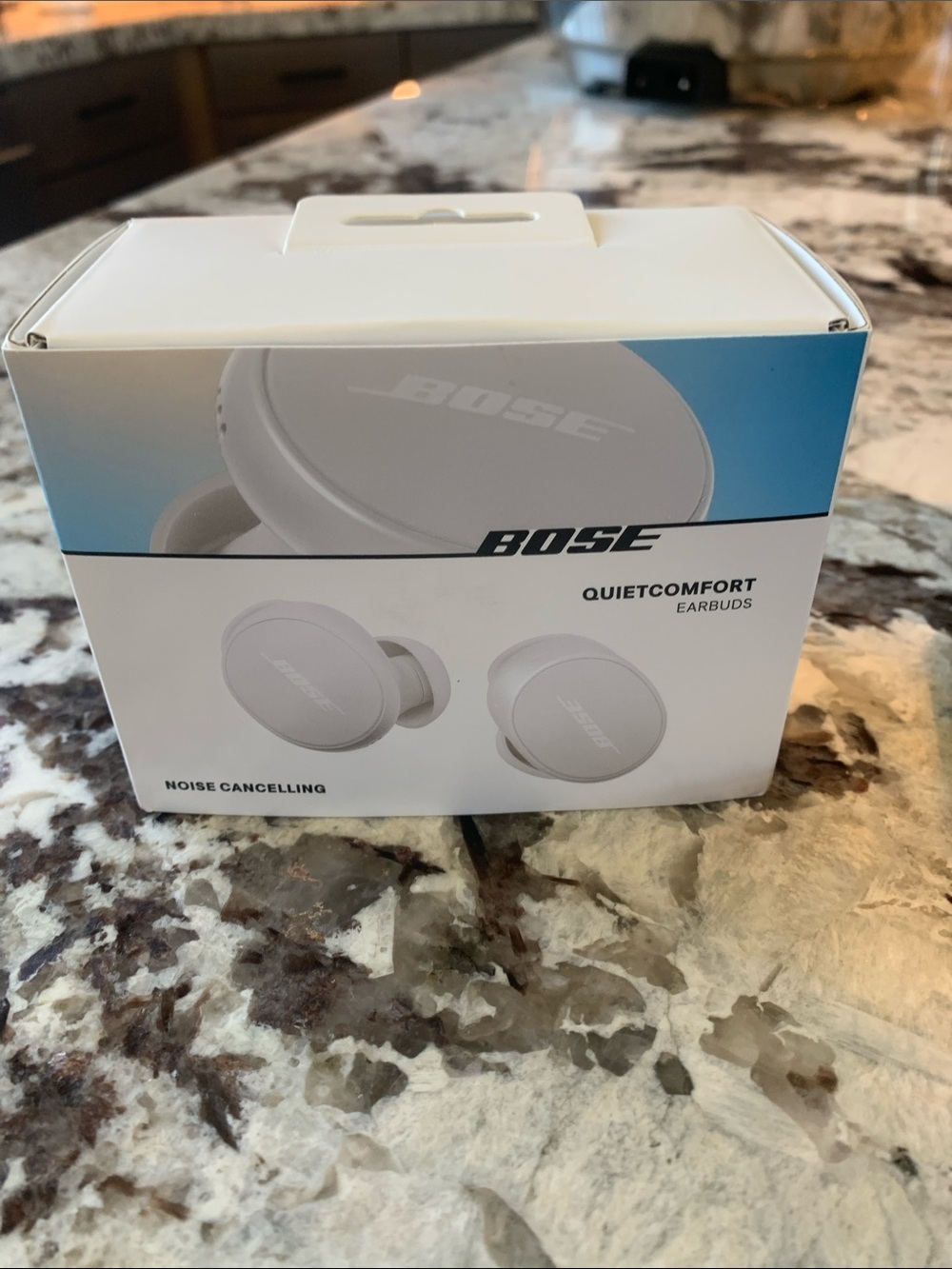 Bose QuietComfort Earbuds — White True Wireless Noise-Cancelling Earbuds